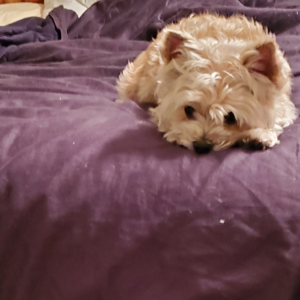 Doing my part and staying home! NFS